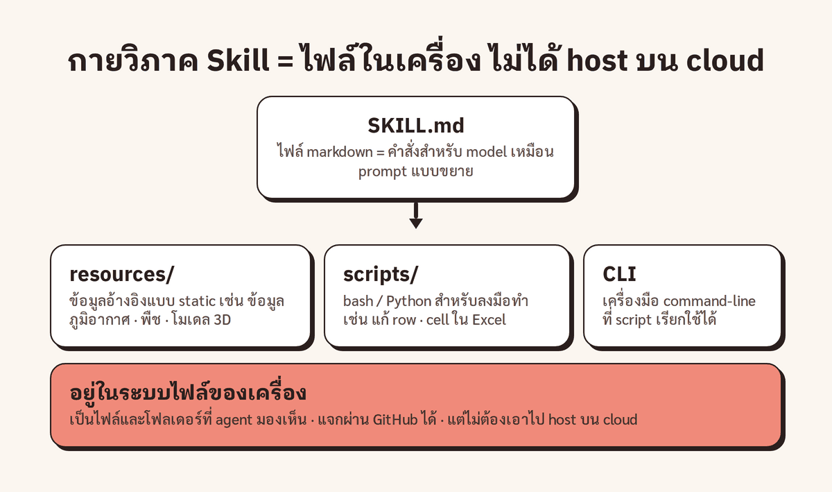 architecture · กายวิภาค Skill ③ · SKILL.md (ไฟล์ markdown = คำสั่งสำหรับ model เหมือน prompt ที่ขยายออก) เป็น root แตกแขนงลงไปเป็น resources/ (ข้อมูลอ้างอิงนิ่ง เช่น ข้อมูลภูมิอากาศ พืช โมเดล 3D) + scripts/ (bash/Python ที่ลงมือทำ เช่น แก้ row/cell ใน Excel) + CLI; ป้ายกำกับ "เป็นไฟล์ในเครื่อง ไม่ host บน cloud แจกผ่าน GitHub ได้"
