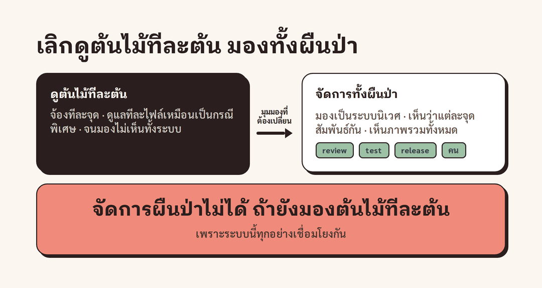 ภาพเปรียบเทียบการดูแลต้นไม้ทีละต้นกับการจัดการทั้งผืนป่าในฐานะระบบนิเวศ