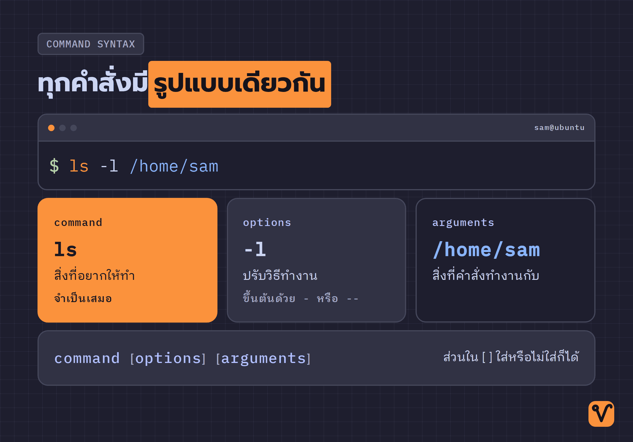 ภาพแยกคำสั่ง ls -l /home/sam ออกเป็นสามส่วน คือ command, options และ arguments พร้อมบอกหน้าที่ของแต่ละส่วน