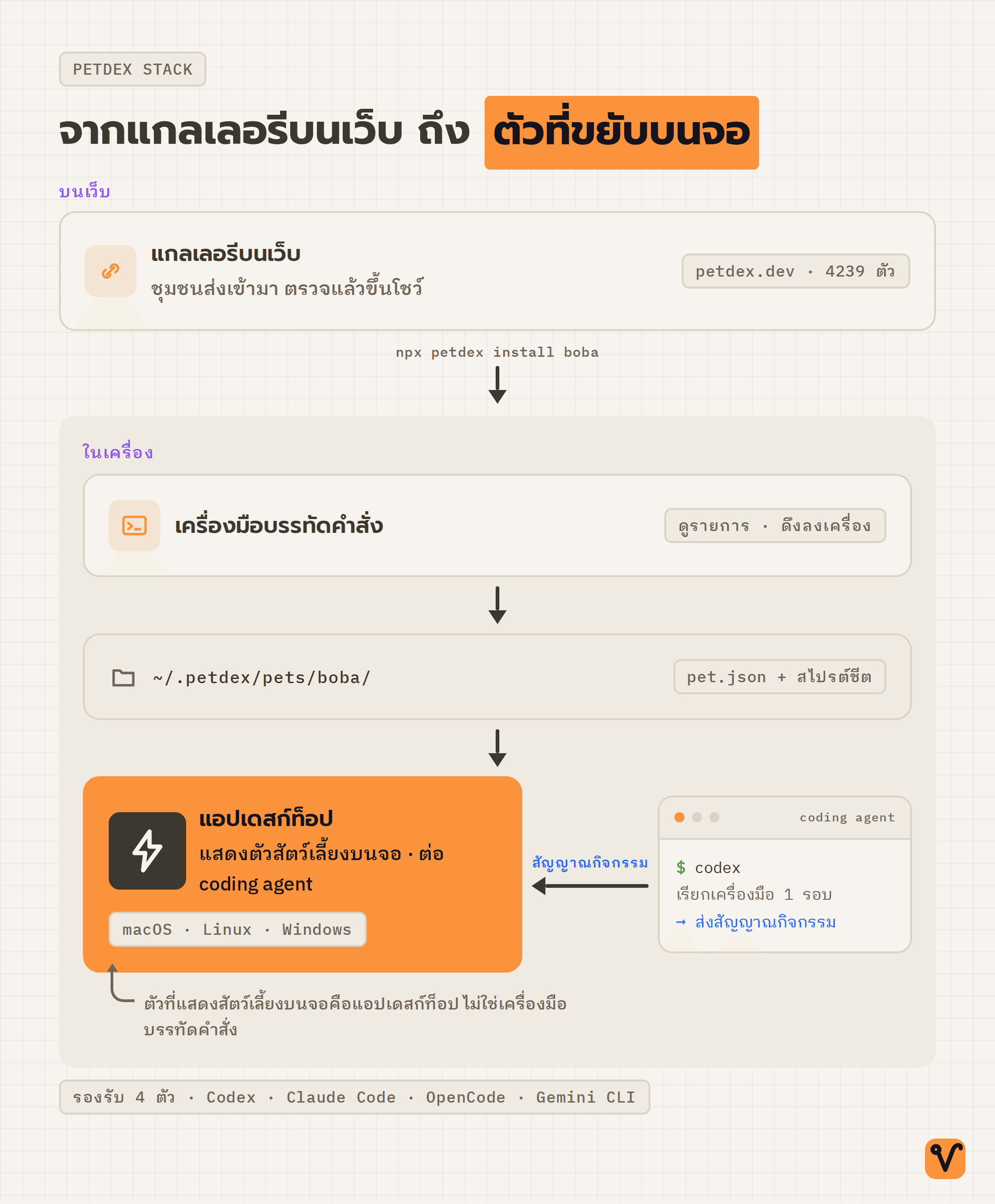 แผนผังเส้นทางของ Petdex จากแกลเลอรีบนเว็บ ผ่านเครื่องมือบรรทัดคำสั่ง ลงมาเป็นโฟลเดอร์ในเครื่อง แล้วจบที่แอปเดสก์ท็อปที่รับสัญญาณจาก coding agent