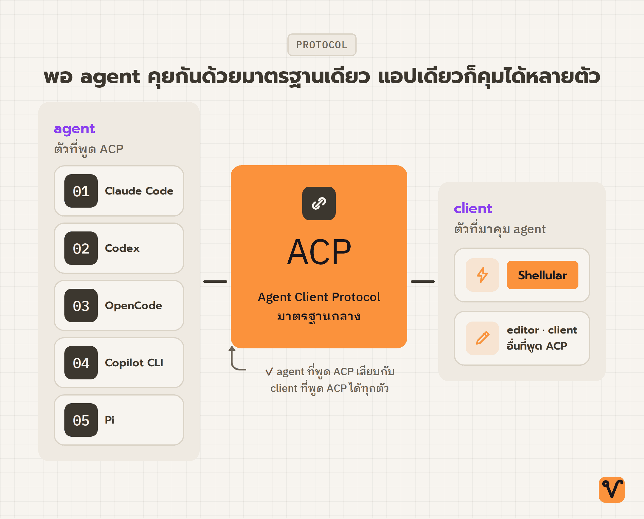 แผนภาพฮับแสดง agent หลายตัวทางซ้ายและ client อย่าง Shellular ทางขวา โดยทั้งสองฝั่งเชื่อมเข้า ACP มาตรฐานกลางที่อยู่ตรงกลางภาพ