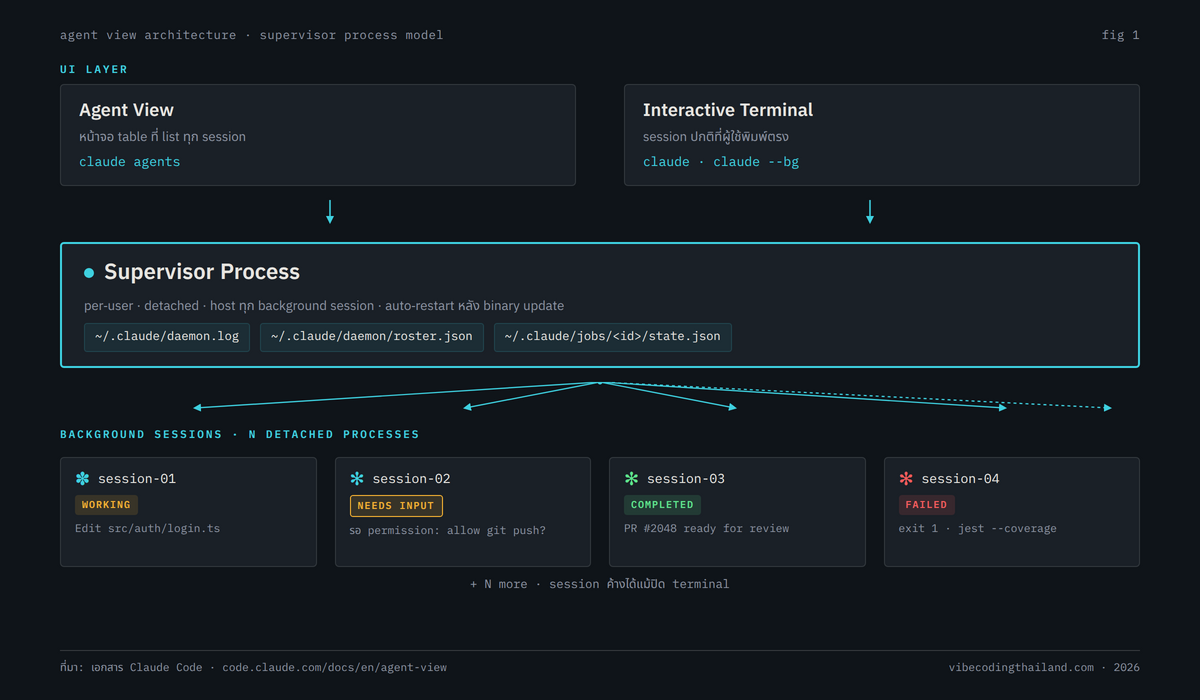 Architecture diagram แสดงโครงสร้าง supervisor process ที่ host หลาย Claude Code background session แต่ละ session เป็น process แยก, agent view เป็น UI layer ที่อ่าน state จาก supervisor, terminal ของผู้ใช้แยกจาก process tree
