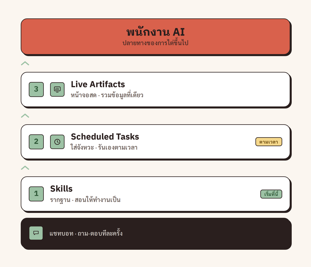 ladder สามชั้น · แสดงบันได Skills (รากฐาน · สอนให้ทำงานเป็น) → Scheduled Tasks (ใส่จังหวะ · รันเองตามเวลา) → Live Artifacts (หน้าจอสด · รวมข้อมูลที่เดียว) โดยมีลูกศรไล่จาก "แชทบอทถาม-ตอบ" ที่ฐานล่างขึ้นไปสู่ "พนักงาน AI" ที่ยอดบน